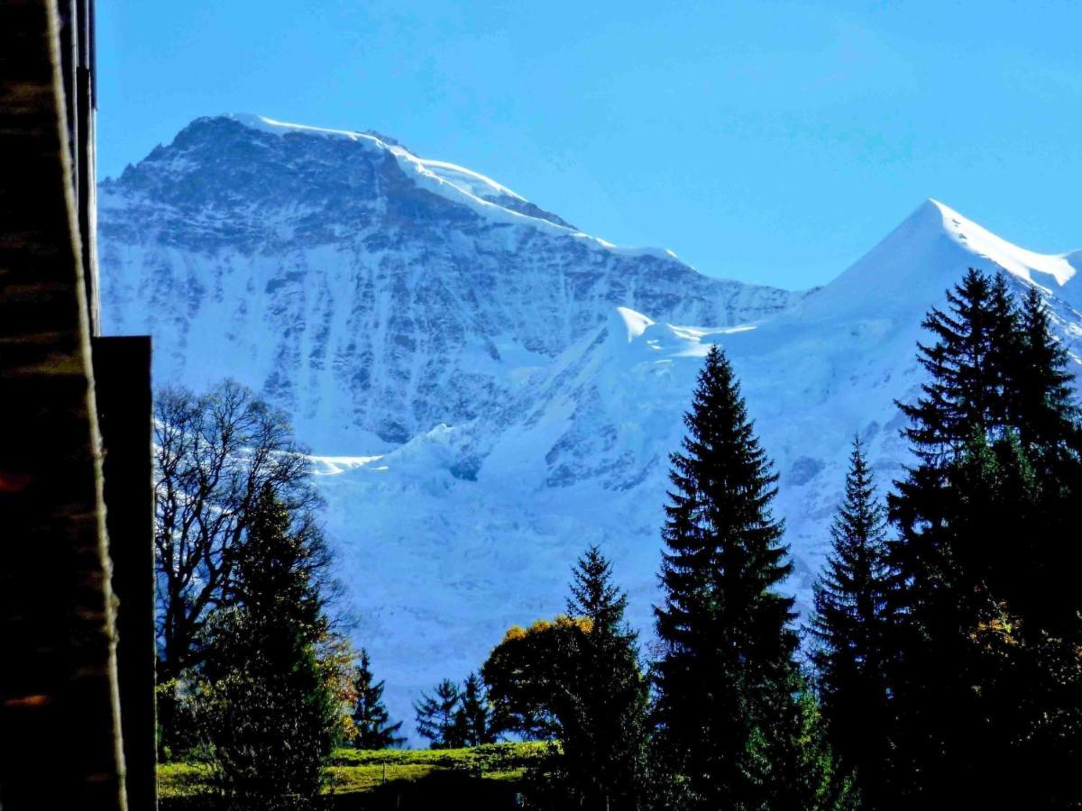 Apartment Breithorn-Residence-3 By Interhome Wengen Luaran gambar